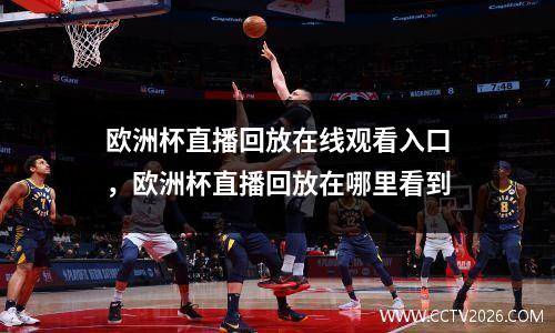 欧洲杯直播回放在线观看入口，欧洲杯直播回放在哪里看到