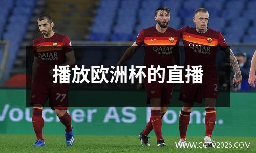 播放欧洲杯的直播