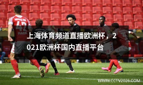 上海体育频道直播欧洲杯，2021欧洲杯国内直播平台