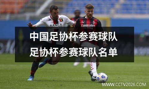 中国足协杯参赛球队 足协杯参赛球队名单