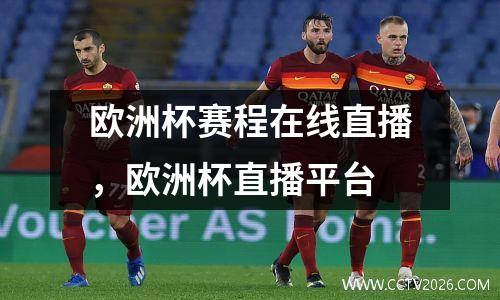 欧洲杯赛程在线直播，欧洲杯直播平台