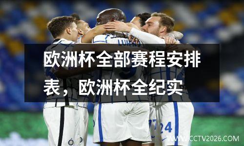 欧洲杯全部赛程安排表，欧洲杯全纪实
