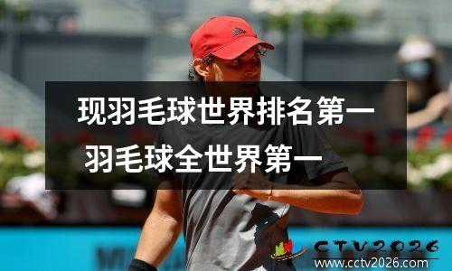 现羽毛球世界排名第一 羽毛球全世界第一