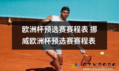 欧洲杯预选赛赛程表 挪威欧洲杯预选赛赛程表