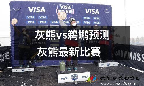 灰熊vs鹈鹕预测 灰熊最新比赛