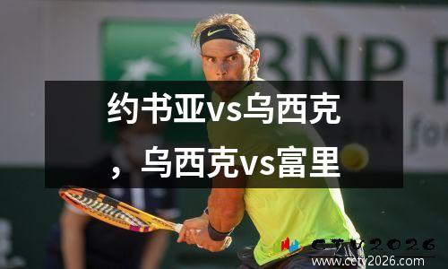 约书亚vs乌西克，乌西克vs富里