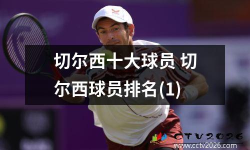 切尔西十大球员 切尔西球员排名(1)