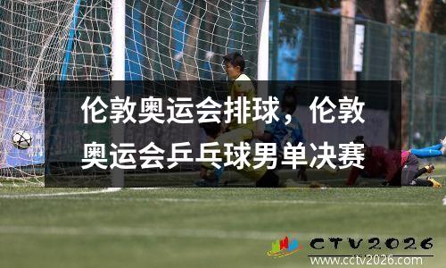 伦敦奥运会排球，伦敦奥运会乒乓球男单决赛