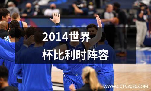 2014世界杯比利时阵容
