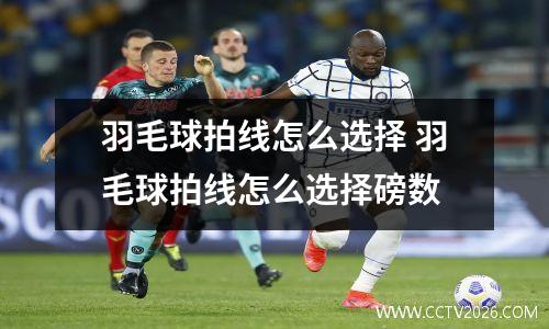 羽毛球拍线怎么选择 羽毛球拍线怎么选择磅数
