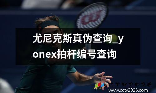 尤尼克斯真伪查询_yonex拍杆编号查询