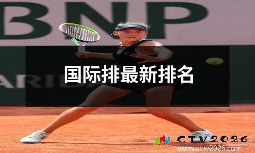 国际排最新排名