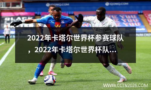 2022年卡塔尔世界杯参赛球队，2022年卡塔尔世界杯队伍