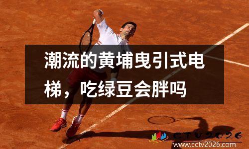 潮流的黄埔曳引式电梯，吃绿豆会胖吗