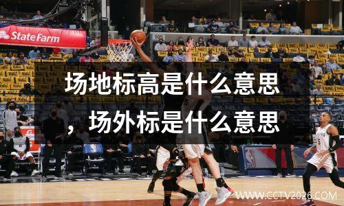 意甲直播，卡卡在哪一赛季帮助ac米兰夺得意甲冠军