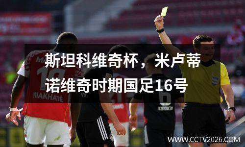 斯坦科维奇杯，米卢蒂诺维奇时期国足16号