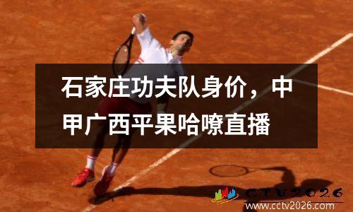 石家庄功夫队身价，中甲广西平果哈嘹直播