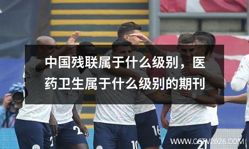 中国残联属于什么级别，医药卫生属于什么级别的期刊