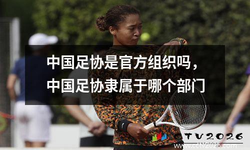 中国足协是官方组织吗，中国足协隶属于哪个部门