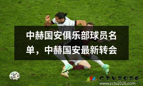 中赫国安俱乐部球员名单，中赫国安最新转会