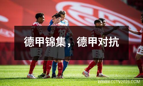 德甲锦集，德甲对抗