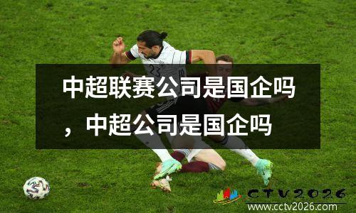 中超联赛公司是国企吗，中超公司是国企吗