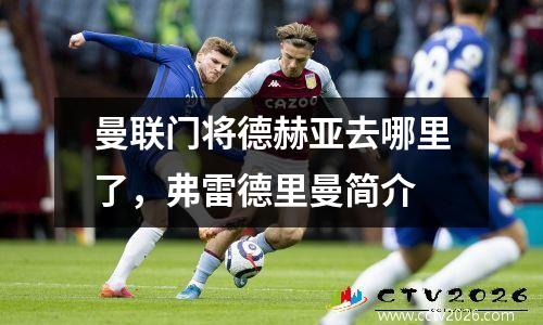 曼联门将德赫亚去哪里了，弗雷德里曼简介