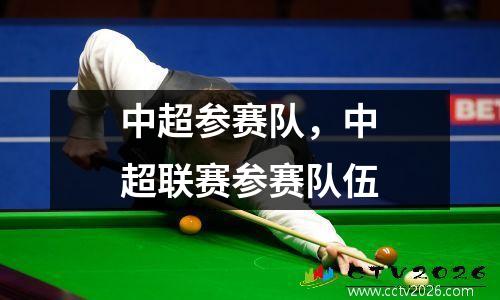 中超参赛队，中超联赛参赛队伍
