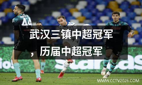 武汉三镇中超冠军，历届中超冠军