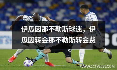 伊瓜因那不勒斯球迷，伊瓜因转会那不勒斯转会费