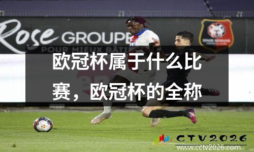 欧冠杯属于什么比赛，欧冠杯的全称