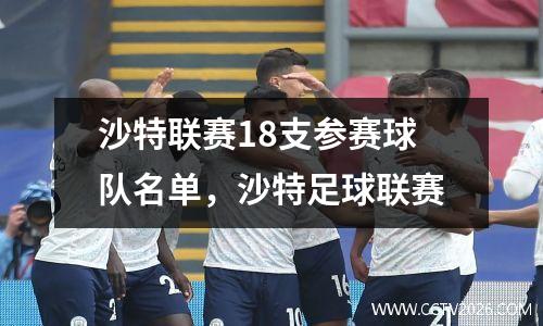 沙特联赛18支参赛球队名单，沙特足球联赛