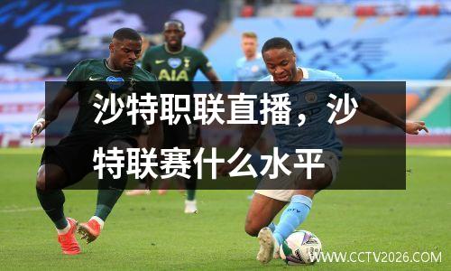 沙特职联直播，沙特联赛什么水平