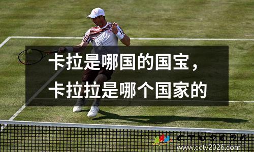 卡拉是哪国的国宝，卡拉拉是哪个国家的