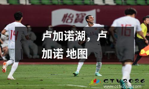 卢加诺湖，卢加诺 地图