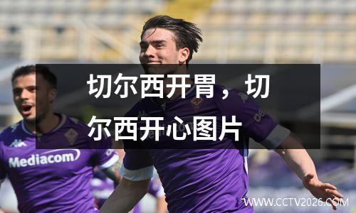 切尔西开胃，切尔西开心图片