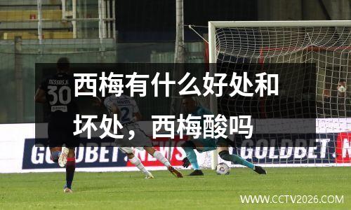 西梅有什么好处和坏处，西梅酸吗