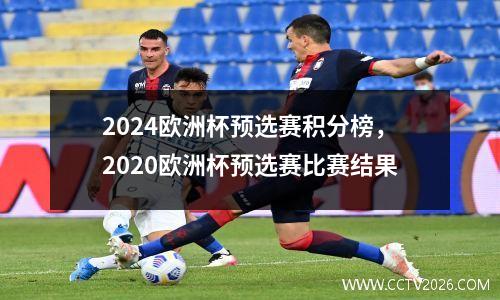 2024欧洲杯预选赛积分榜，2020欧洲杯预选赛比赛结果