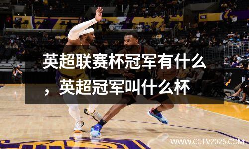 英超联赛杯冠军有什么，英超冠军叫什么杯