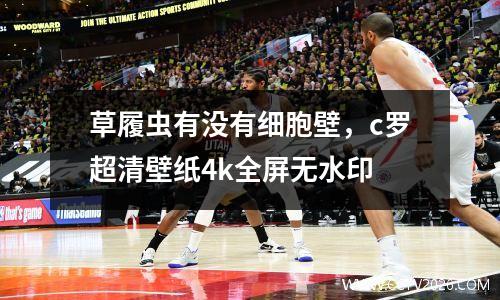 草履虫有没有细胞壁，c罗超清壁纸4k全屏无水印