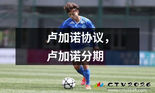 卢加诺协议，卢加诺分期