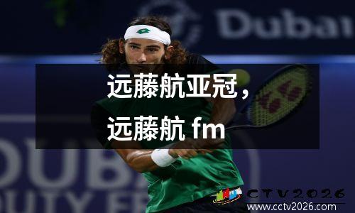 远藤航亚冠，远藤航 fm