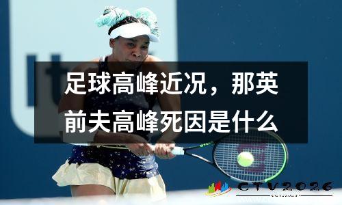 足球高峰近况，那英前夫高峰死因是什么