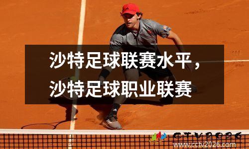 沙特足球联赛水平，沙特足球职业联赛