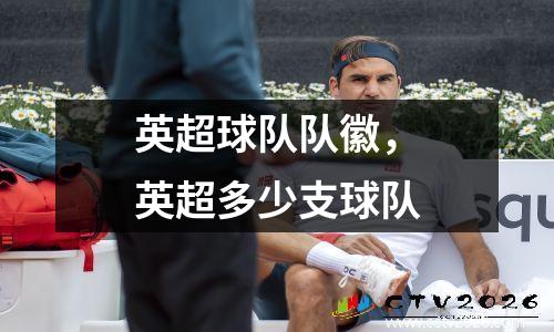 英超球队队徽，英超多少支球队