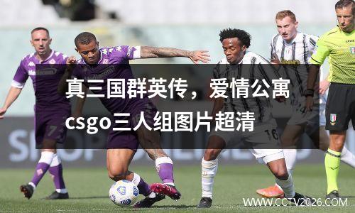 真三国群英传，爱情公寓csgo三人组图片超清