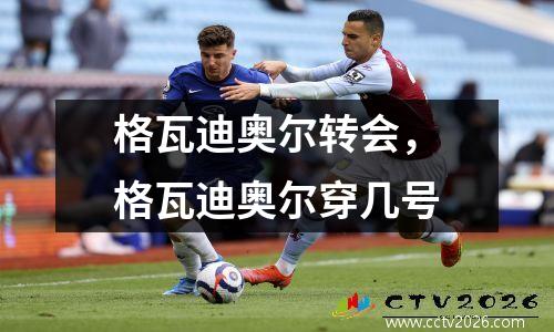 格瓦迪奥尔转会，格瓦迪奥尔穿几号