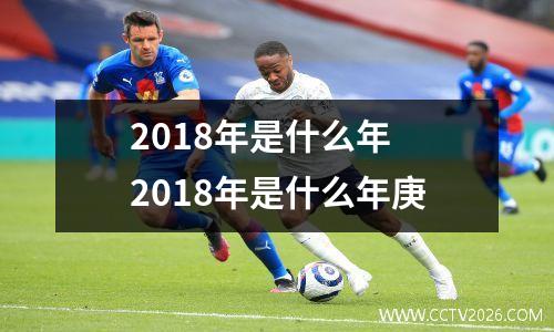 2018年是什么年 2018年是什么年庚