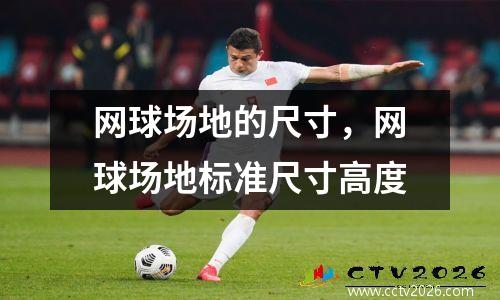 网球场地的尺寸，网球场地标准尺寸高度