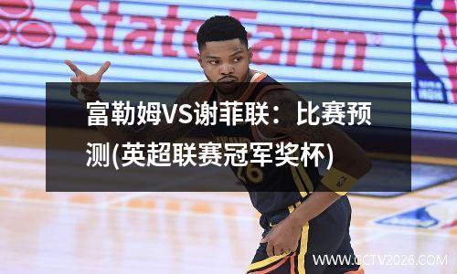 富勒姆VS谢菲联：比赛预测(英超联赛冠军奖杯)